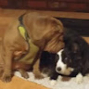 Meet your Posher, Caroline